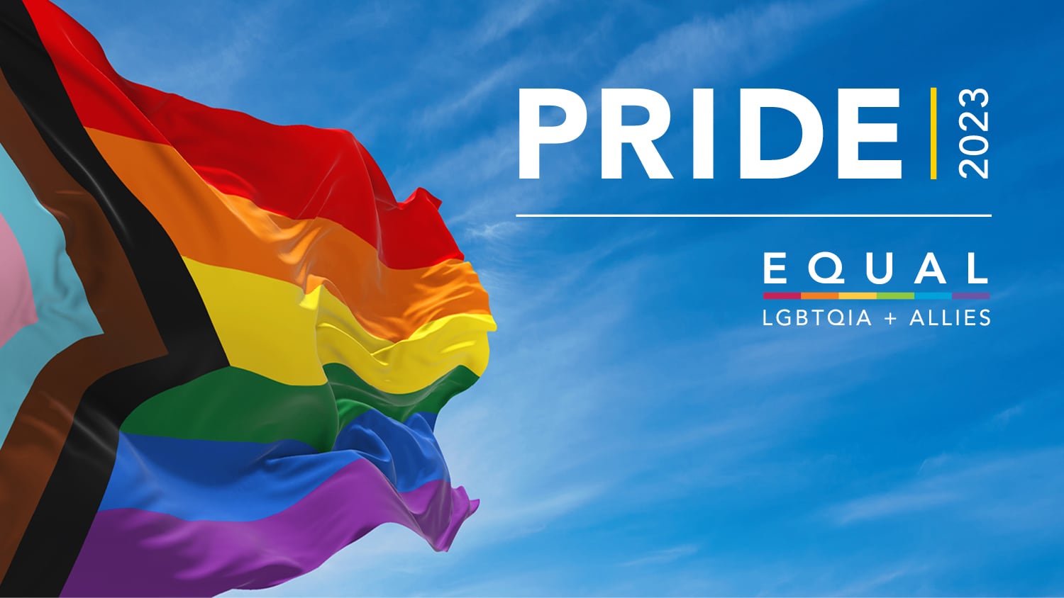 Everyday Inclusion