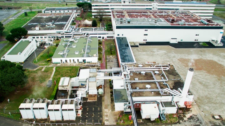 Building Green From the Ground Up Old Plant