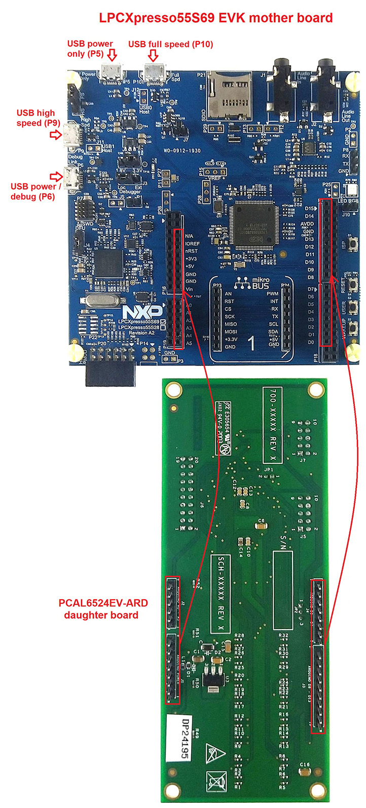 PCAL6524EV-ARD