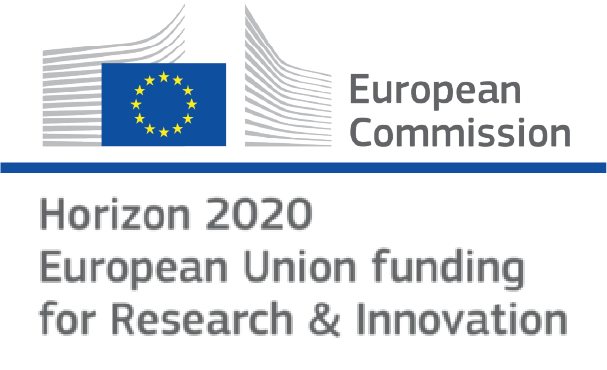 european comission