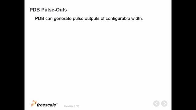 Programmable Delay Block